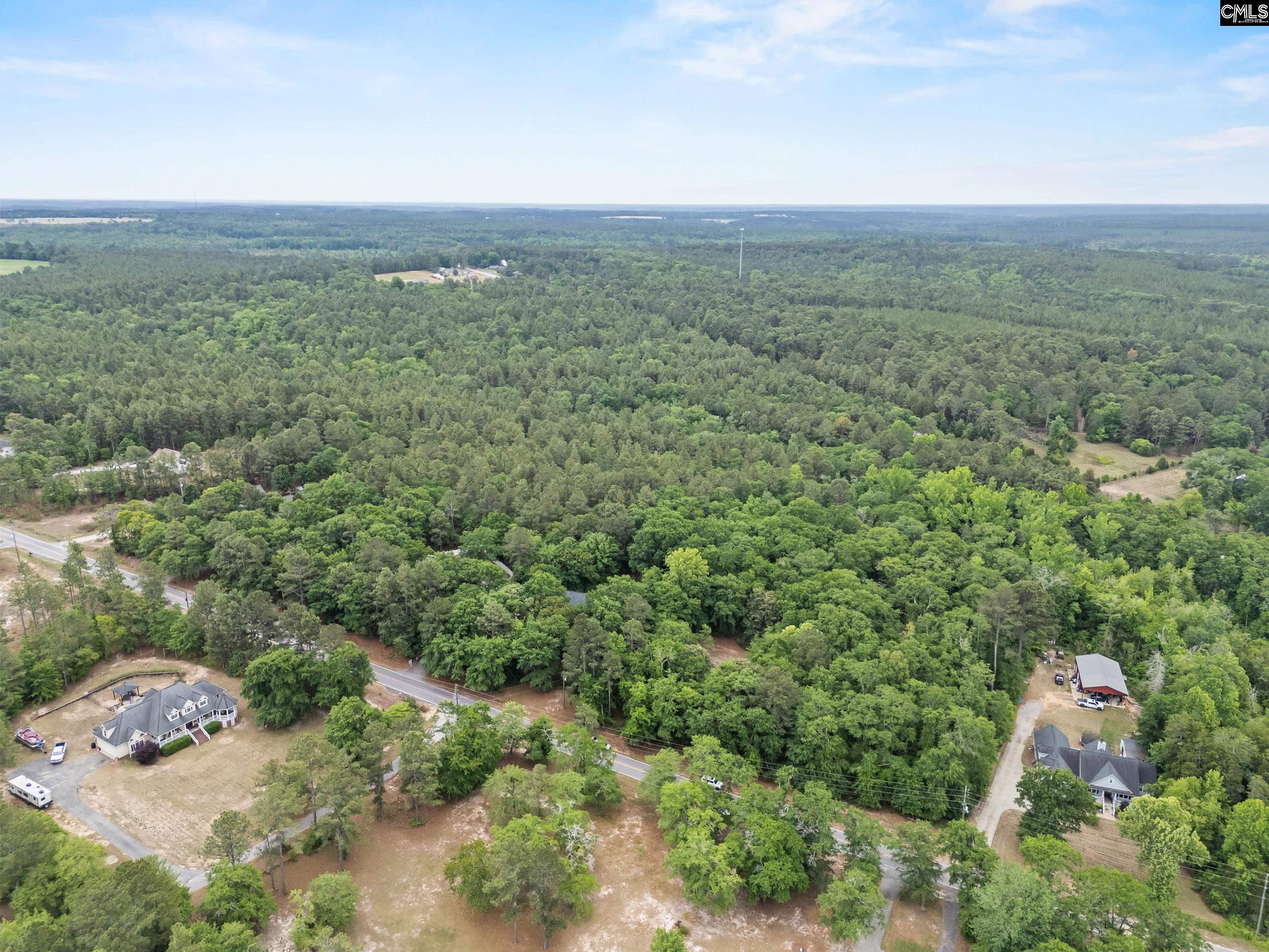 132 Forts Pond Road Pelion, SC 29123 - Photo 50 of 54