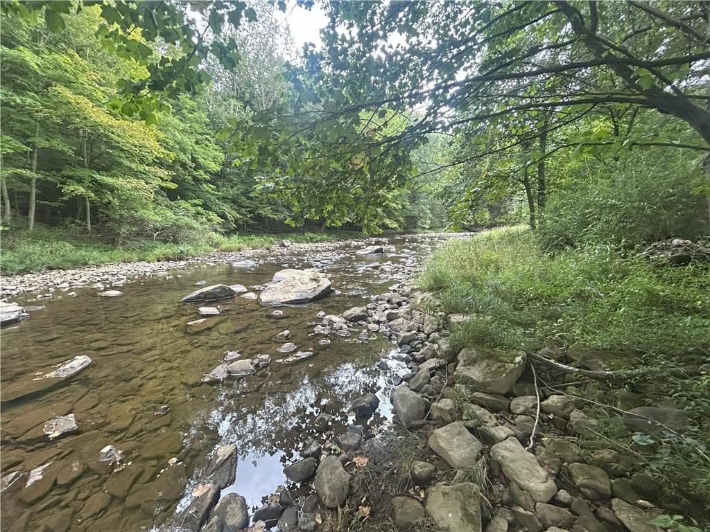 53 Hurd Road Rochester Mills, PA 15771 - Photo 3 of 35 a view of a forest with a tree