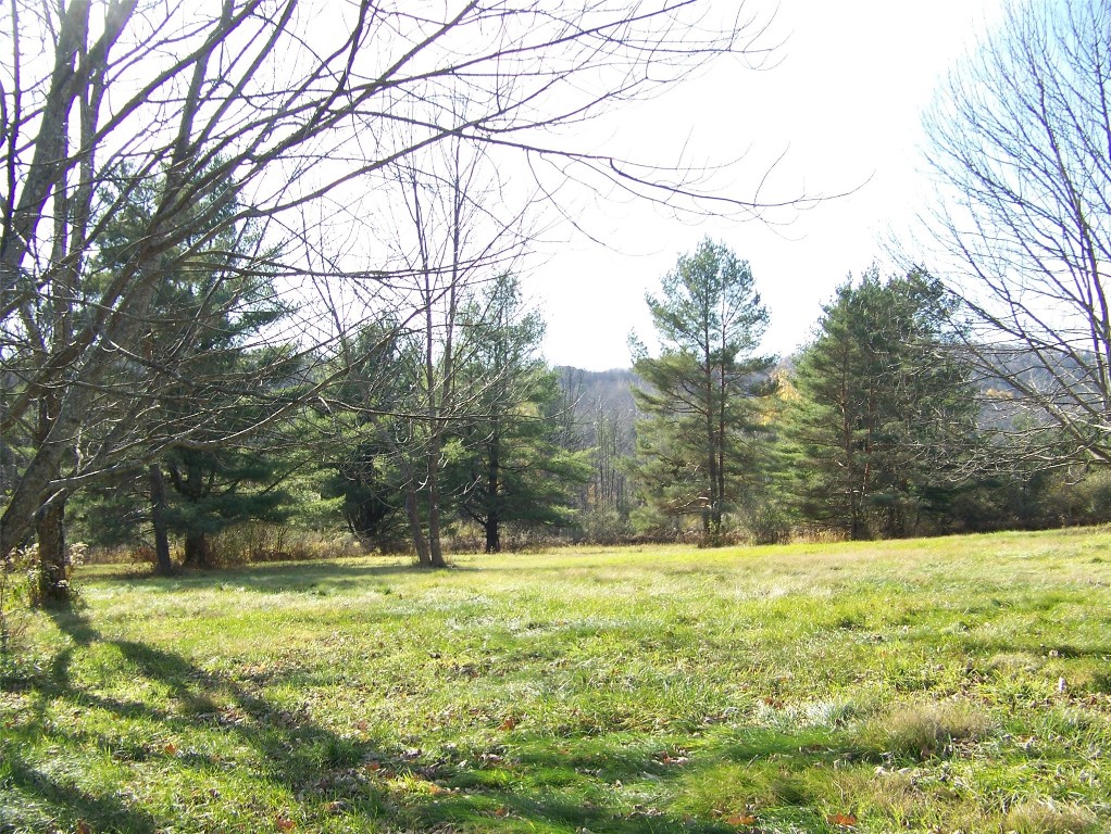 148 Nelson Road Vestal, NY 13850 - Photo 3 of 22 Gallery Image 3