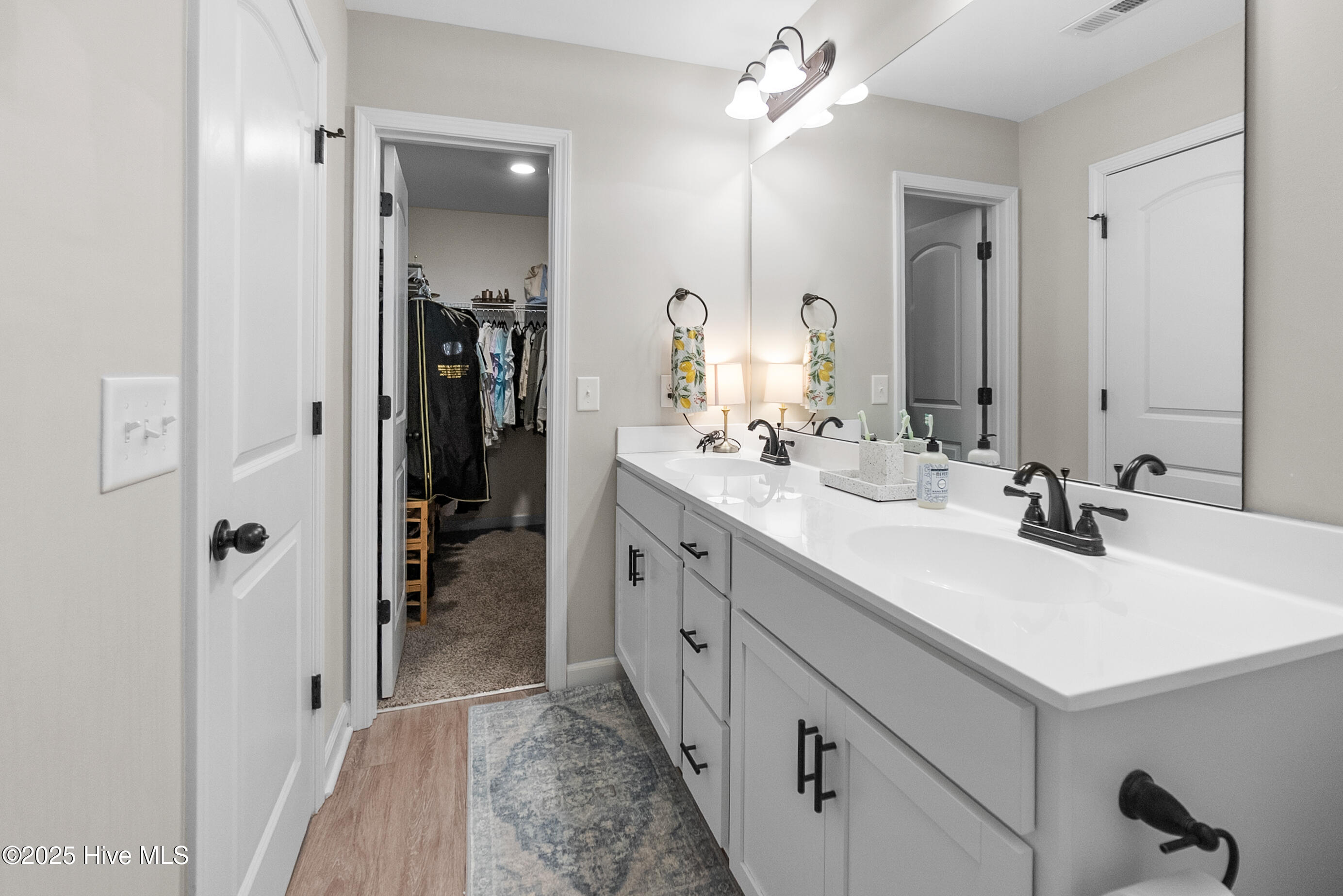 72 Catalina Circle Swansboro, NC 28584 - Photo 16 of 36 master bath1