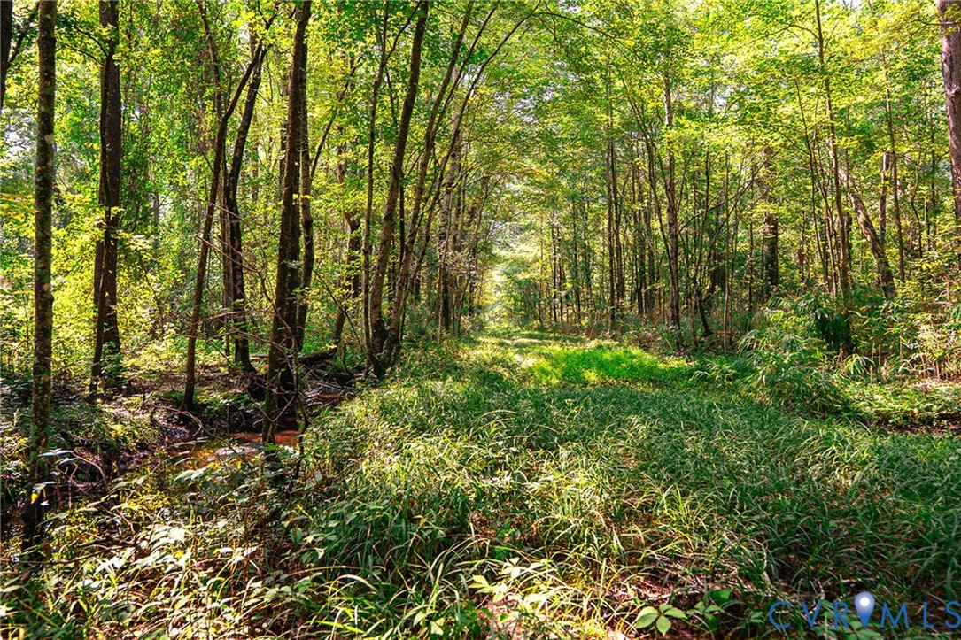 663.8-acres Peach Road Chesapeake, VA 23321 - Photo 19 of 48 Gallery Image 19