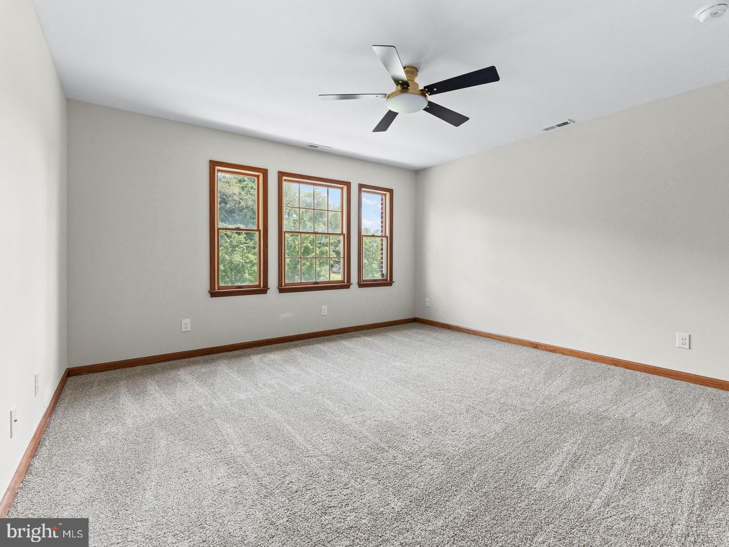 135 Avis Mill Road Pilesgrove, NJ 08098 - Photo 33 of 63 Gallery Image 33