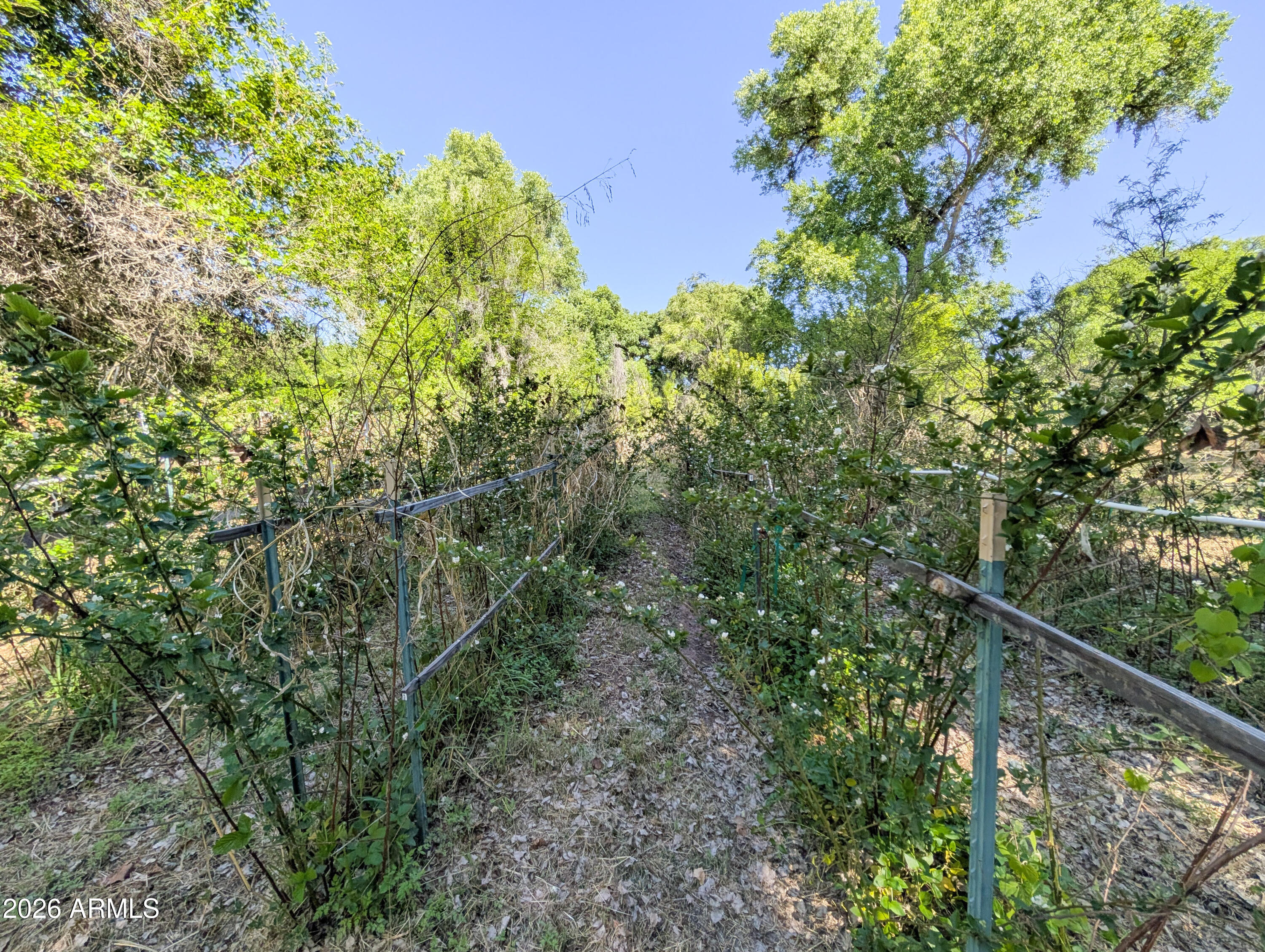 1165 North Willard Road Cottonwood, AZ 86326 - Photo 73 of 122