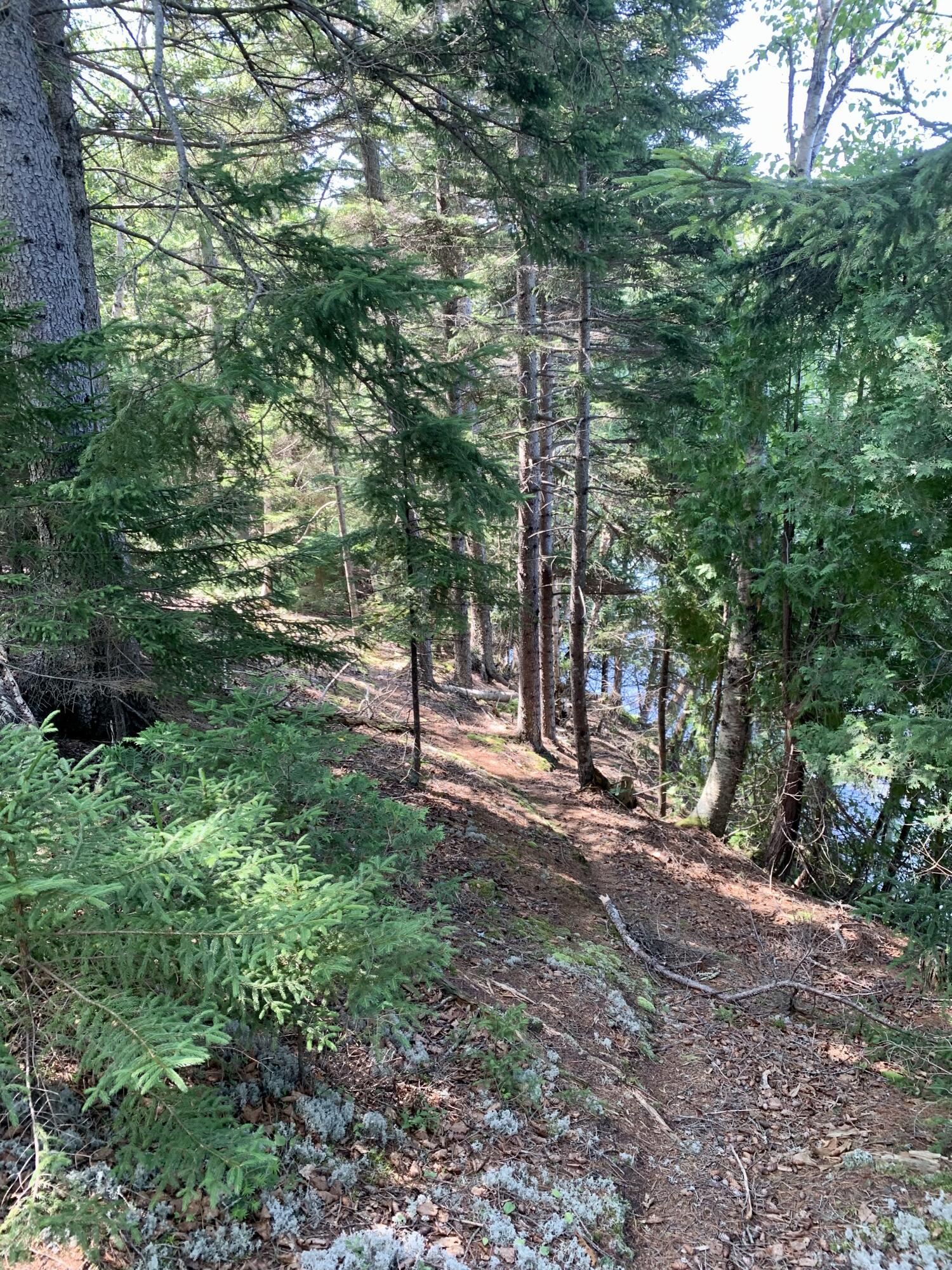 Lot 8 North Shores Road Lubec, ME 04652 - Photo 20 of 25 IMG_5419
