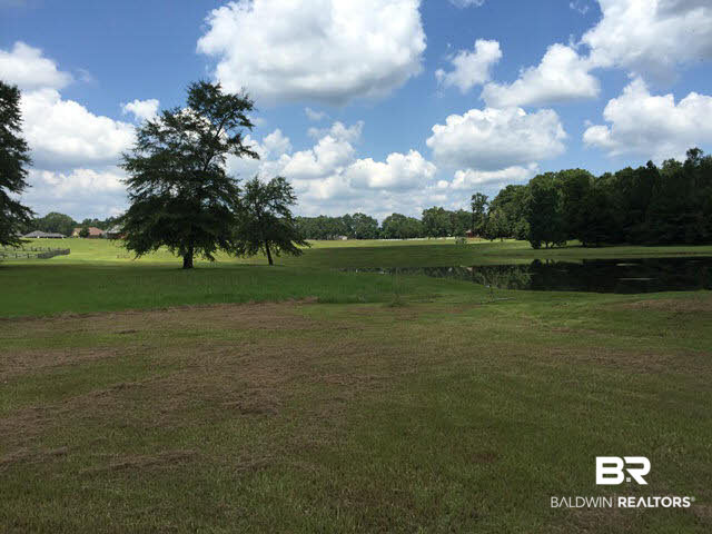 0 Deer Ridge Drive Wilmer, AL 36587 - Photo 14 of 17