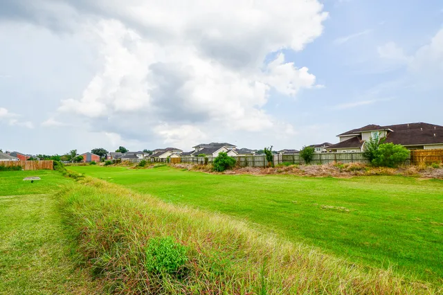 a view of a grassy field with mountains in the background