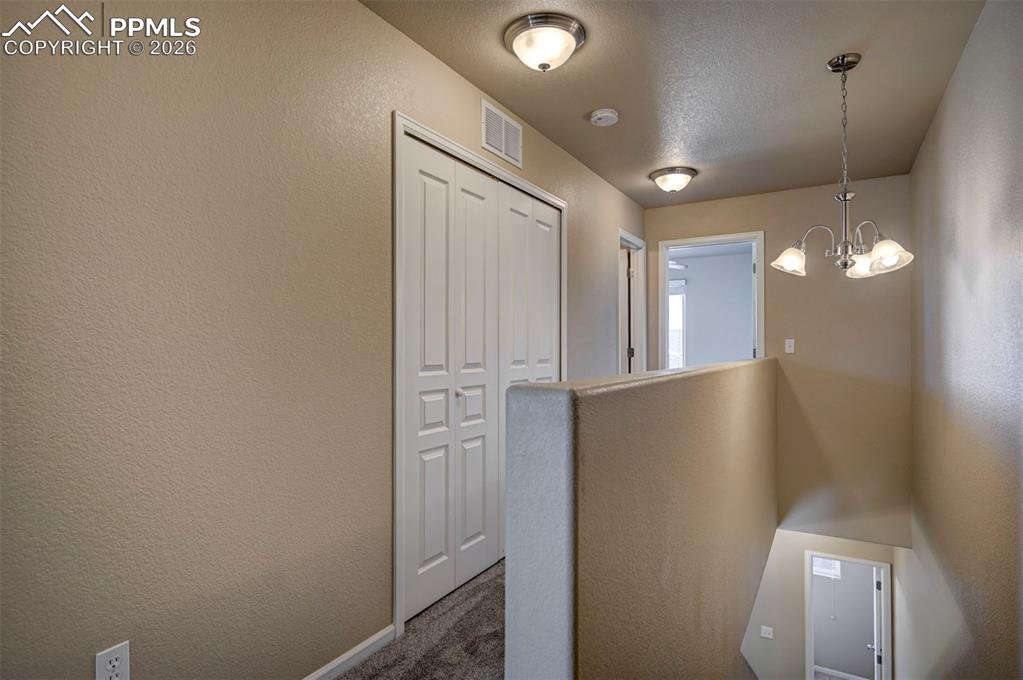 5653 Saint Patrick View Colorado Springs, CO 80923 - Photo 23 of 43 Hallway to the two bedrooms, laundry area, full 2nd bathroom and closet.