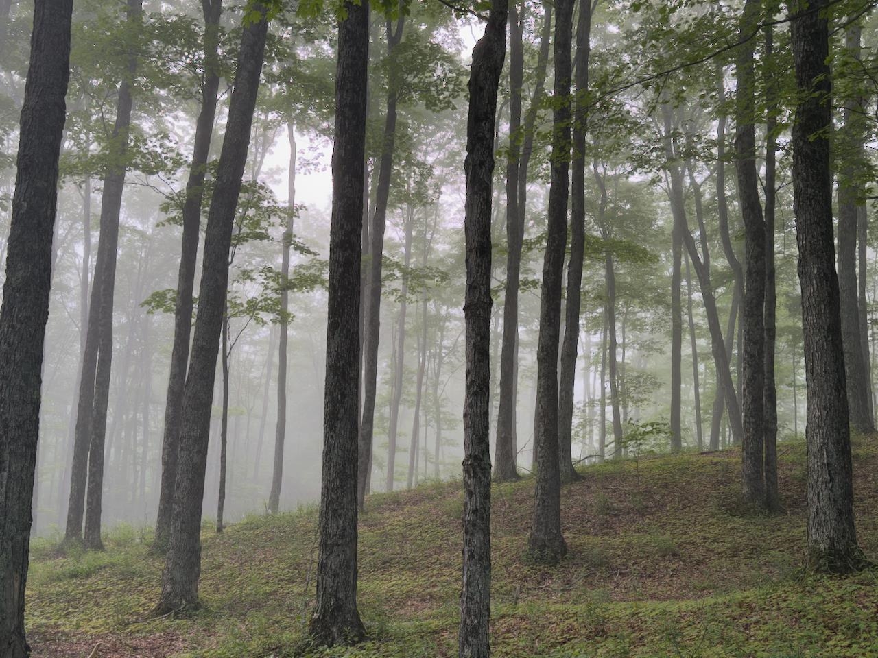 2769 Cloudland Road Woodstock, VT 05091 - Photo 56 of 56