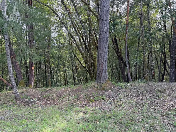$5,000 | 25380 Sherwood Road, Willits, CA 95490
