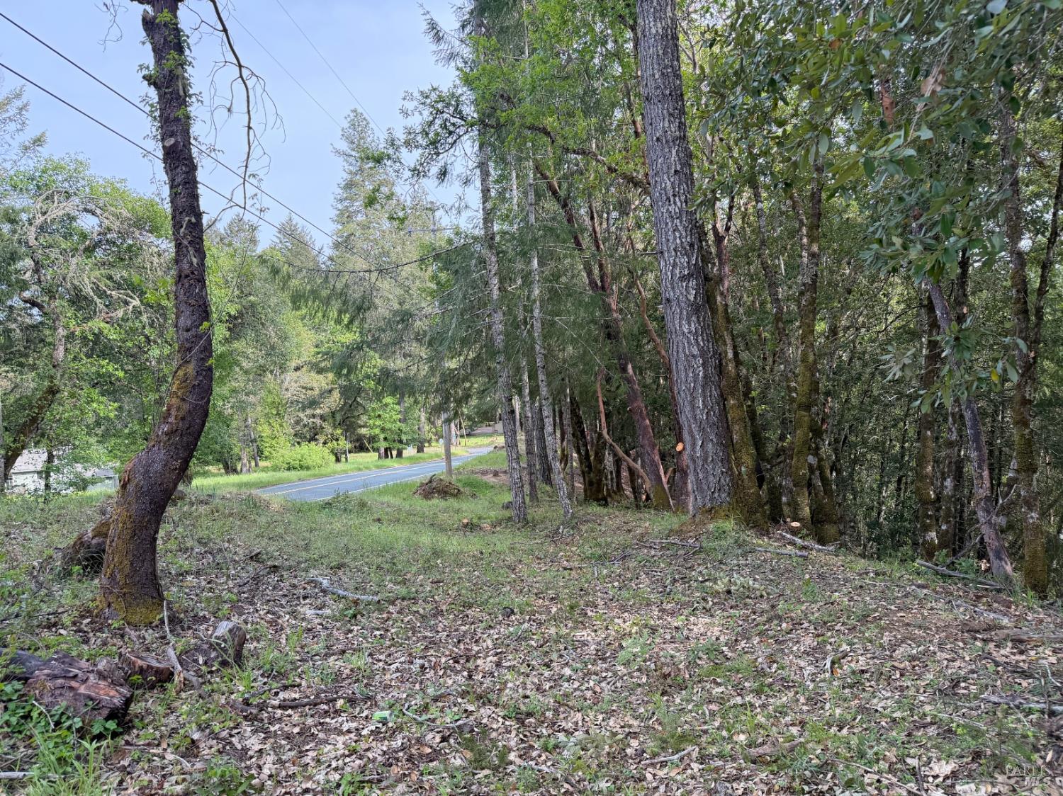 25380 Sherwood Road Willits, CA 95490 - Photo 7 of 8 a view of a forest with trees in the background