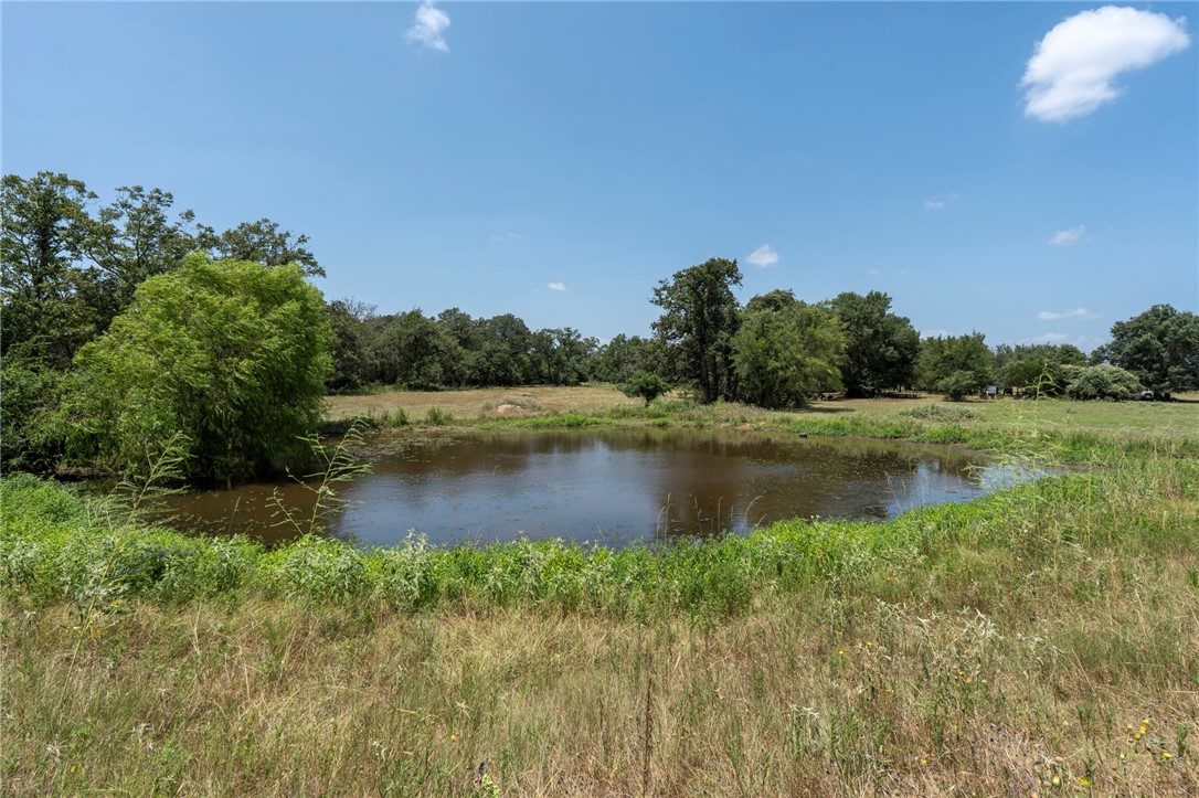 Tbd Templeton Road Hearne, TX 77859 - Photo 15 of 19 Gallery Image 15