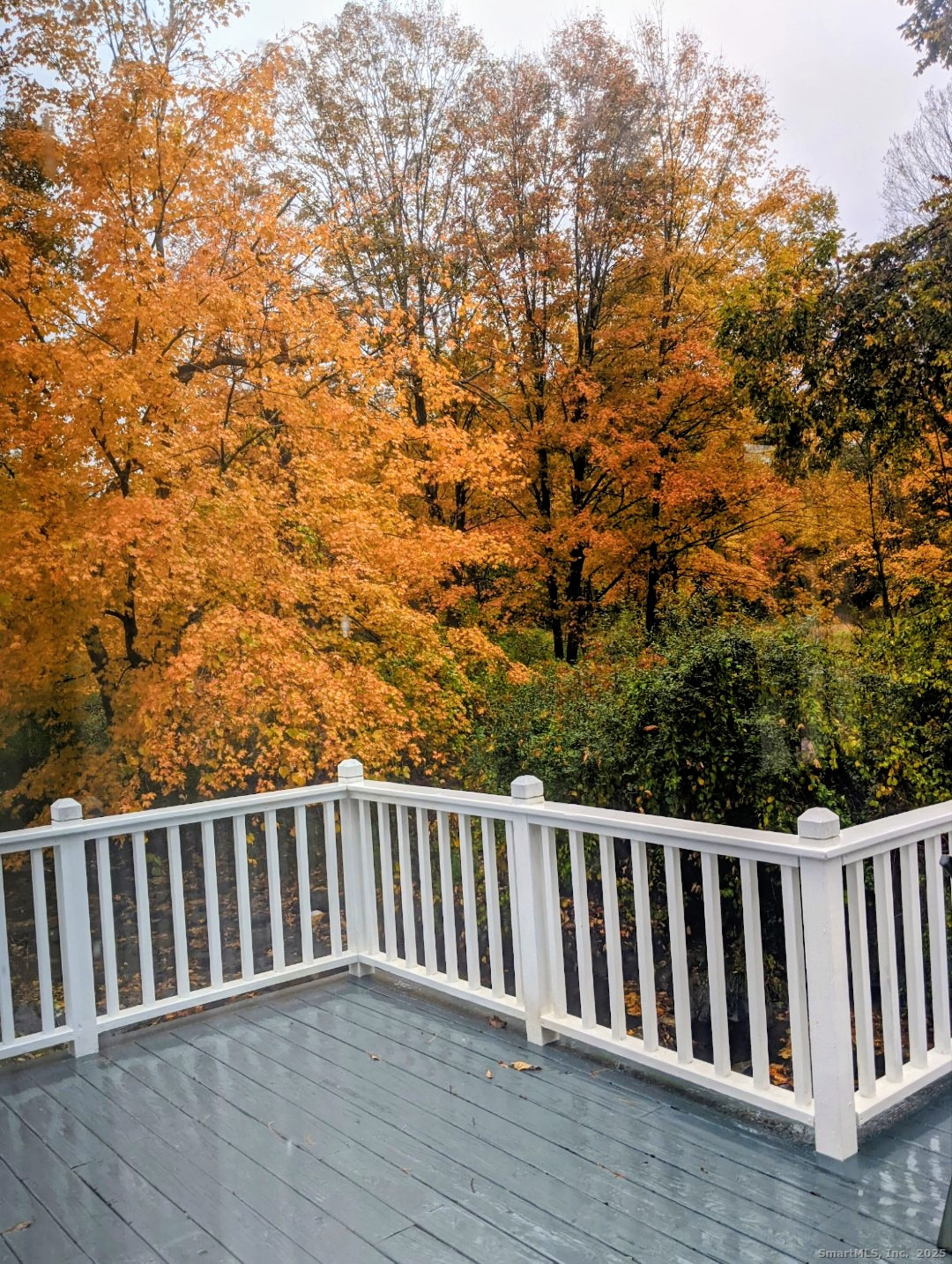 10 Hazel Plain Road Woodbury, CT 06798 - Photo 33 of 38 Deck with autumn views