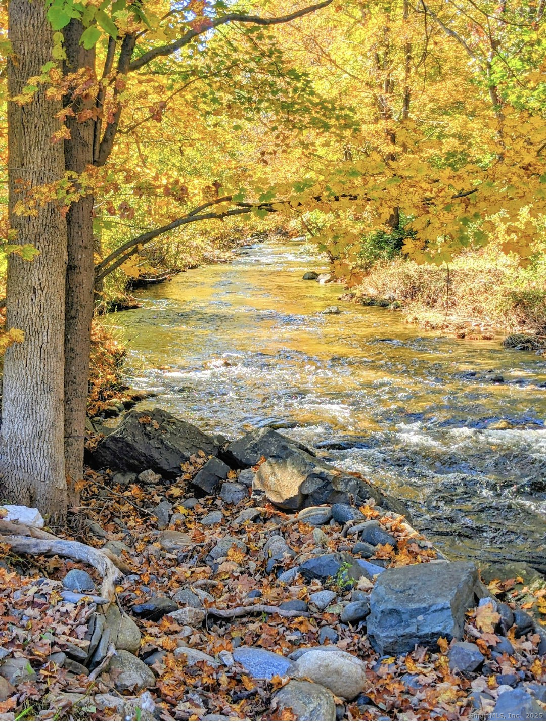 10 Hazel Plain Road Woodbury, CT 06798 - Photo 35 of 38 River with autumn views as seen from the deck