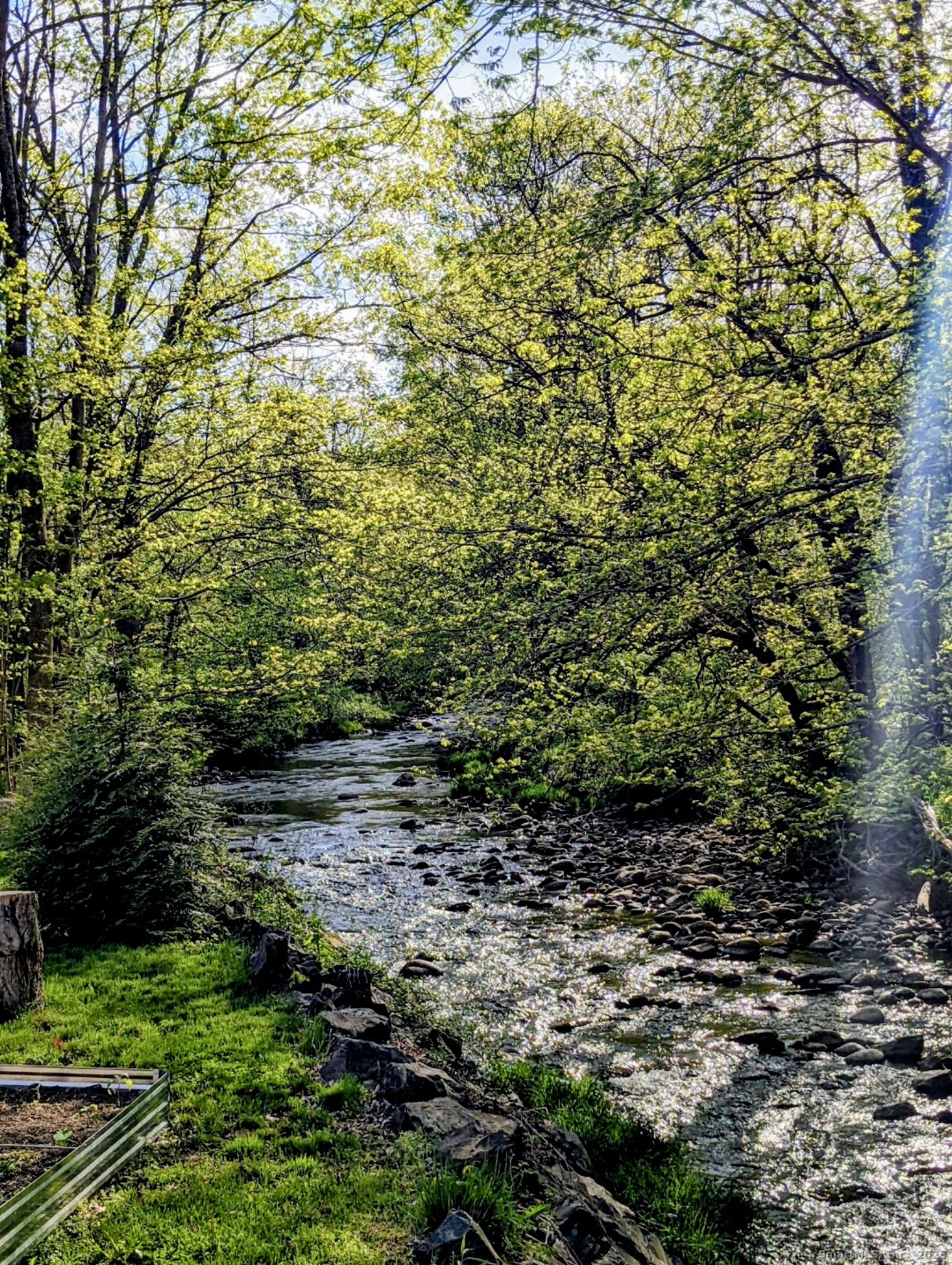 10 Hazel Plain Road Woodbury, CT 06798 - Photo 36 of 38 River with summer views as seen from the deck