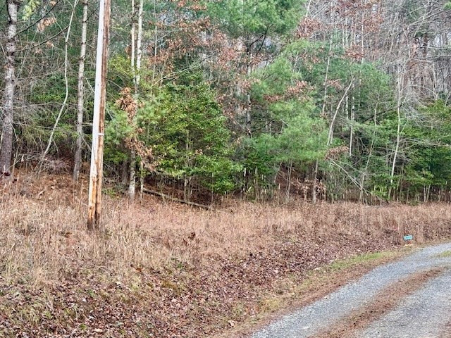Lot 9 Timberline Road Murphy, NC 28906 - Photo 18 of 23
