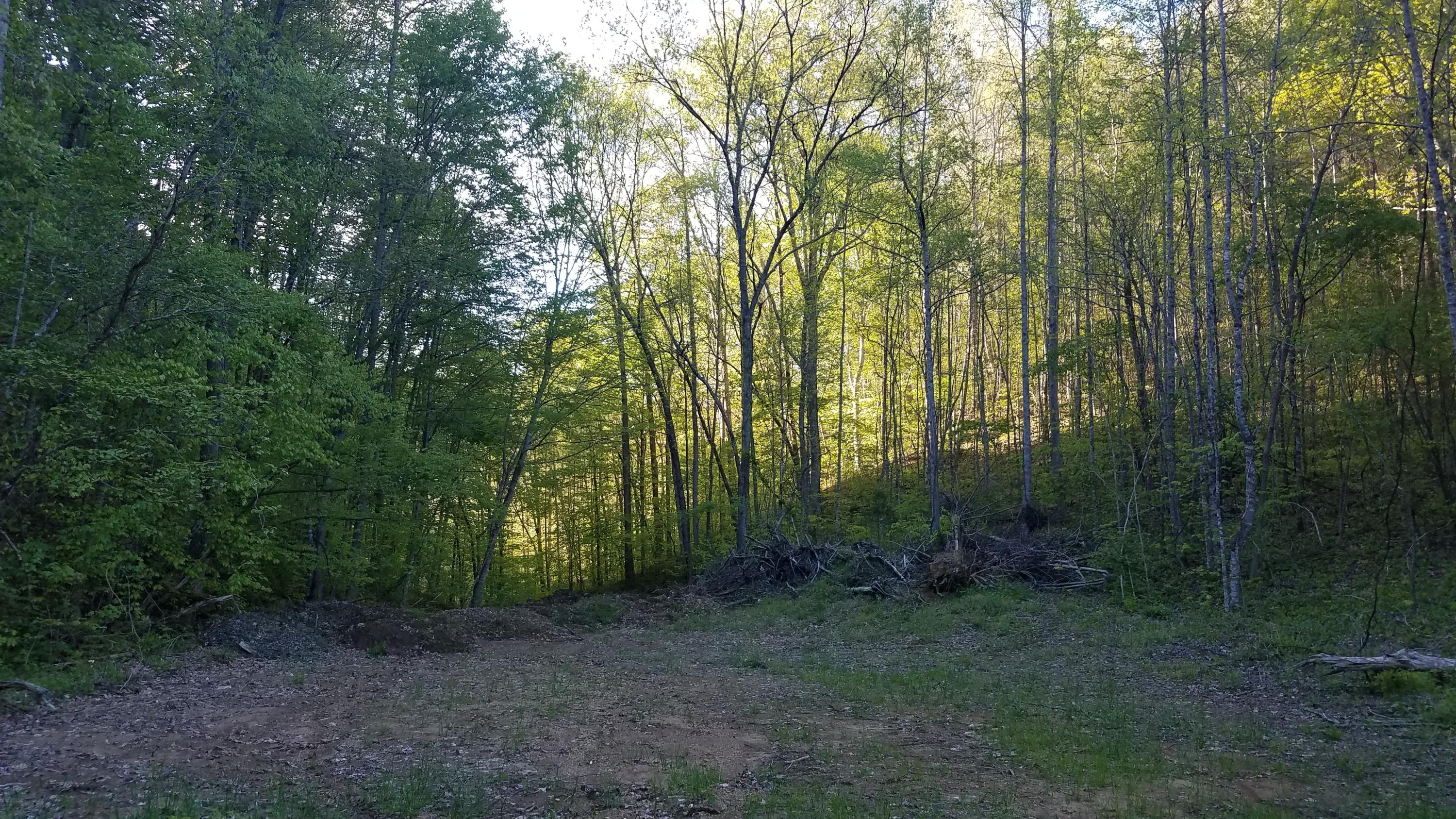 0 Raven Hill Road Tazewell, TN 37879 - Photo 21 of 25 20200427_182724