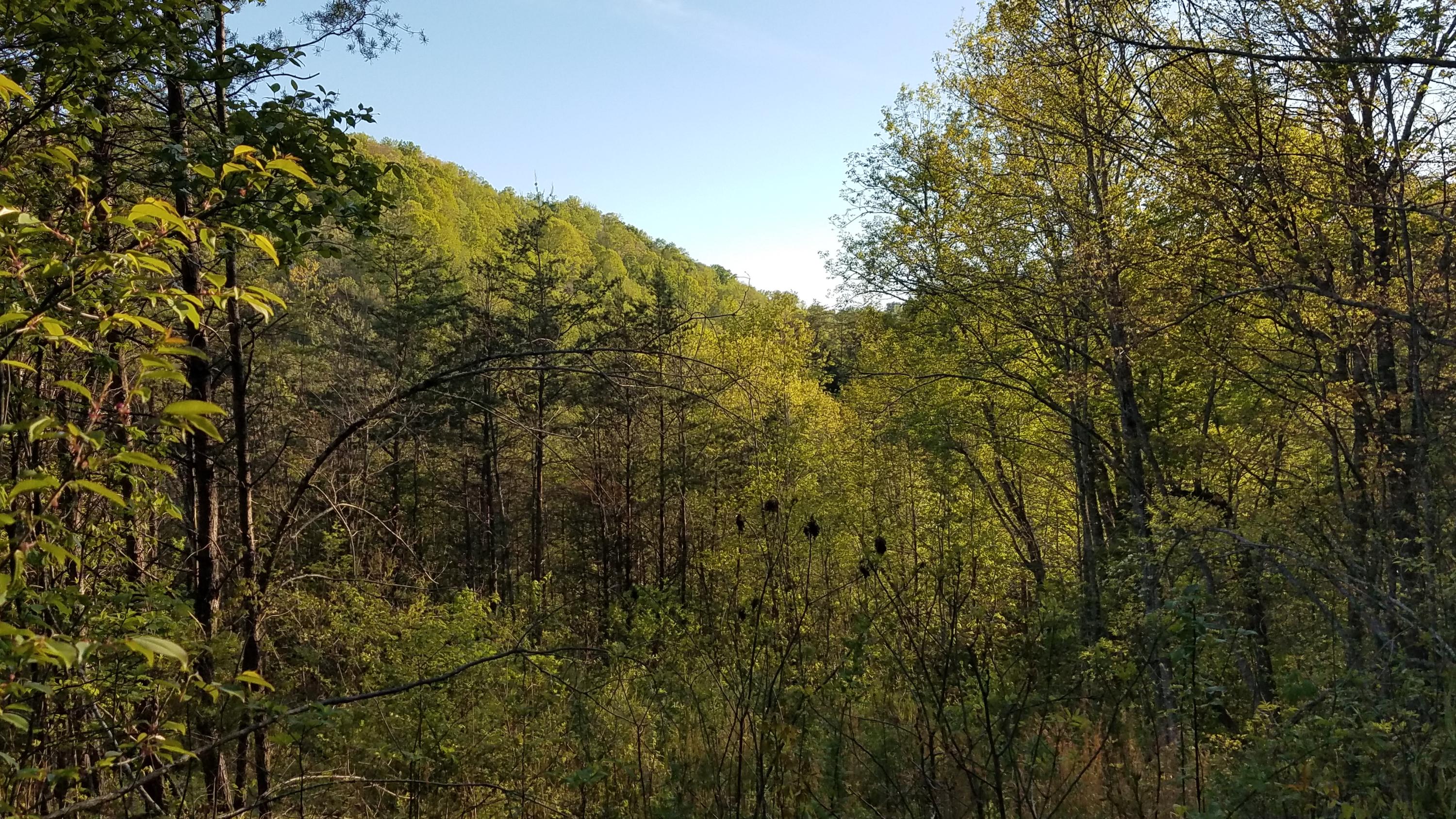 0 Raven Hill Road Tazewell, TN 37879 - Photo 22 of 25 20200427_184546