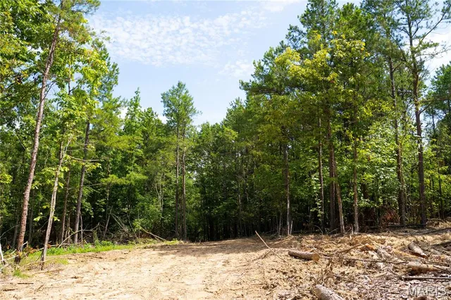 $189,900 | 0 Nn Highway, Doniphan, MO 63935