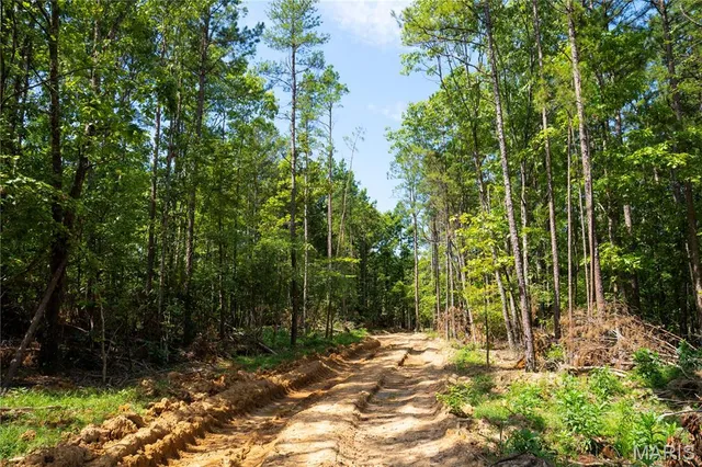 $189,900 | 0 Nn Highway, Doniphan, MO 63935