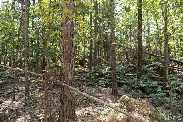 $189,900 | 0 Nn Highway, Doniphan, MO 63935