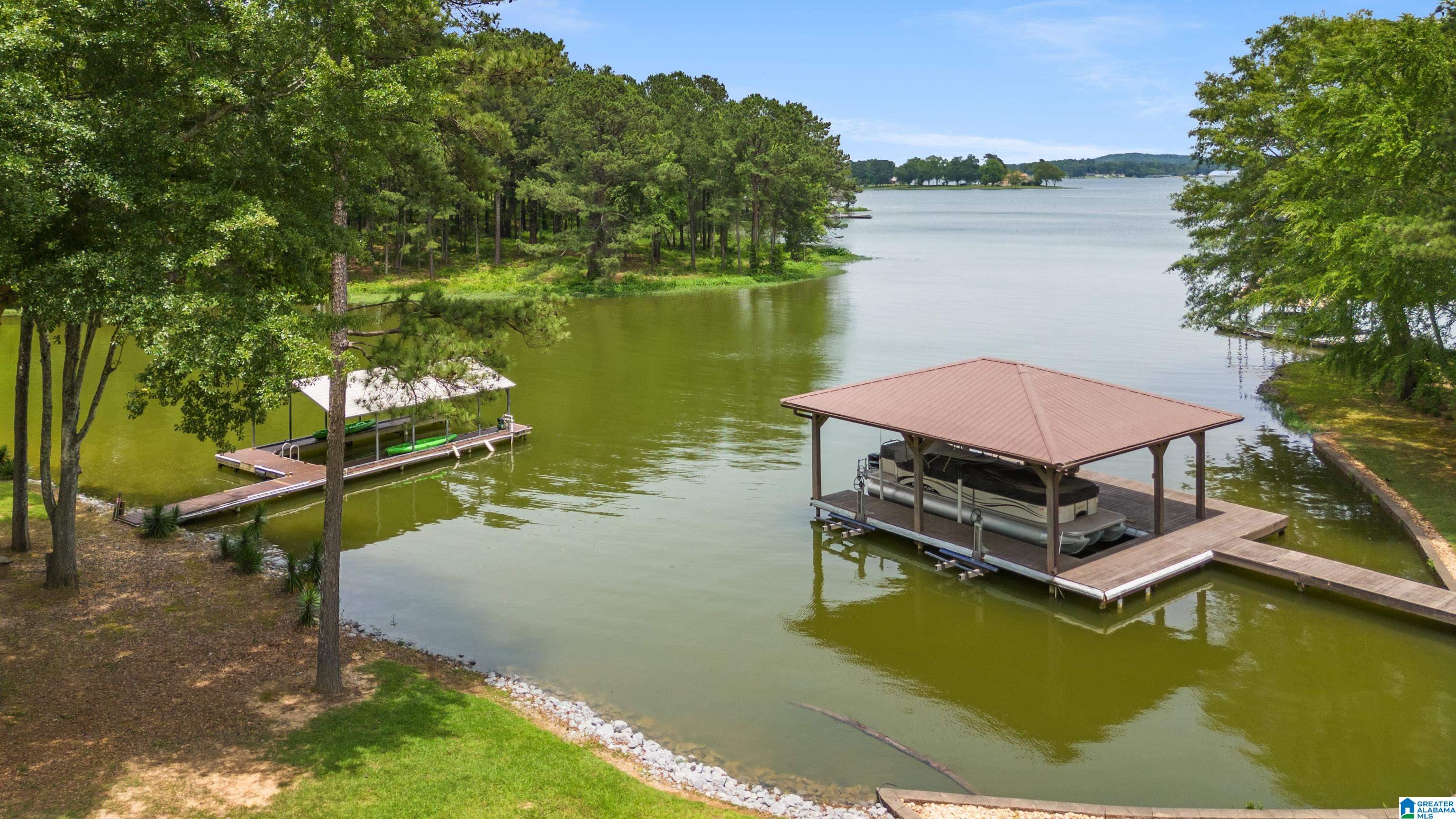 113 Harmons Island Road Cropwell, AL 35054 - Photo 49 of 61