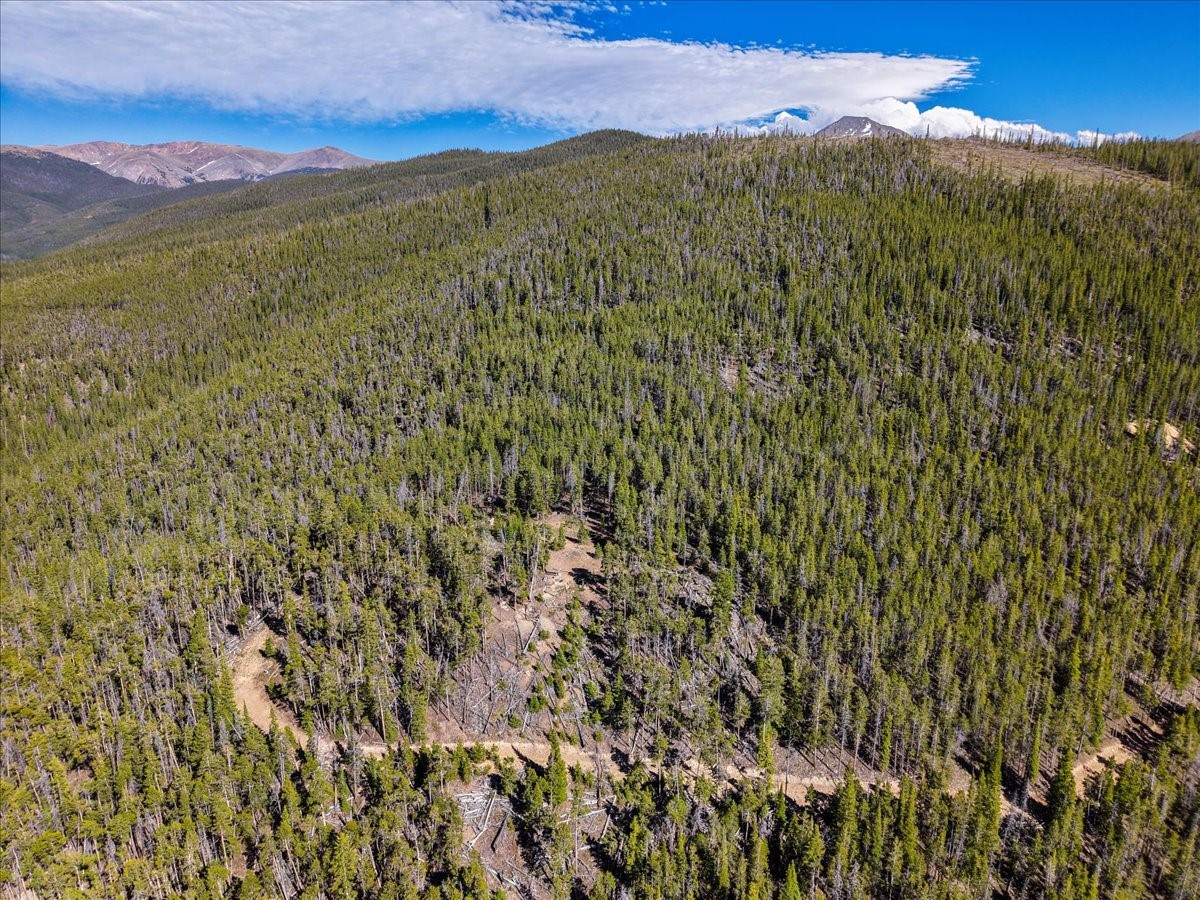 Tbd Summit Gulch Road Breckenridge, CO 80424 - Photo 42 of 49 a view of a lush green hillside and a mountain