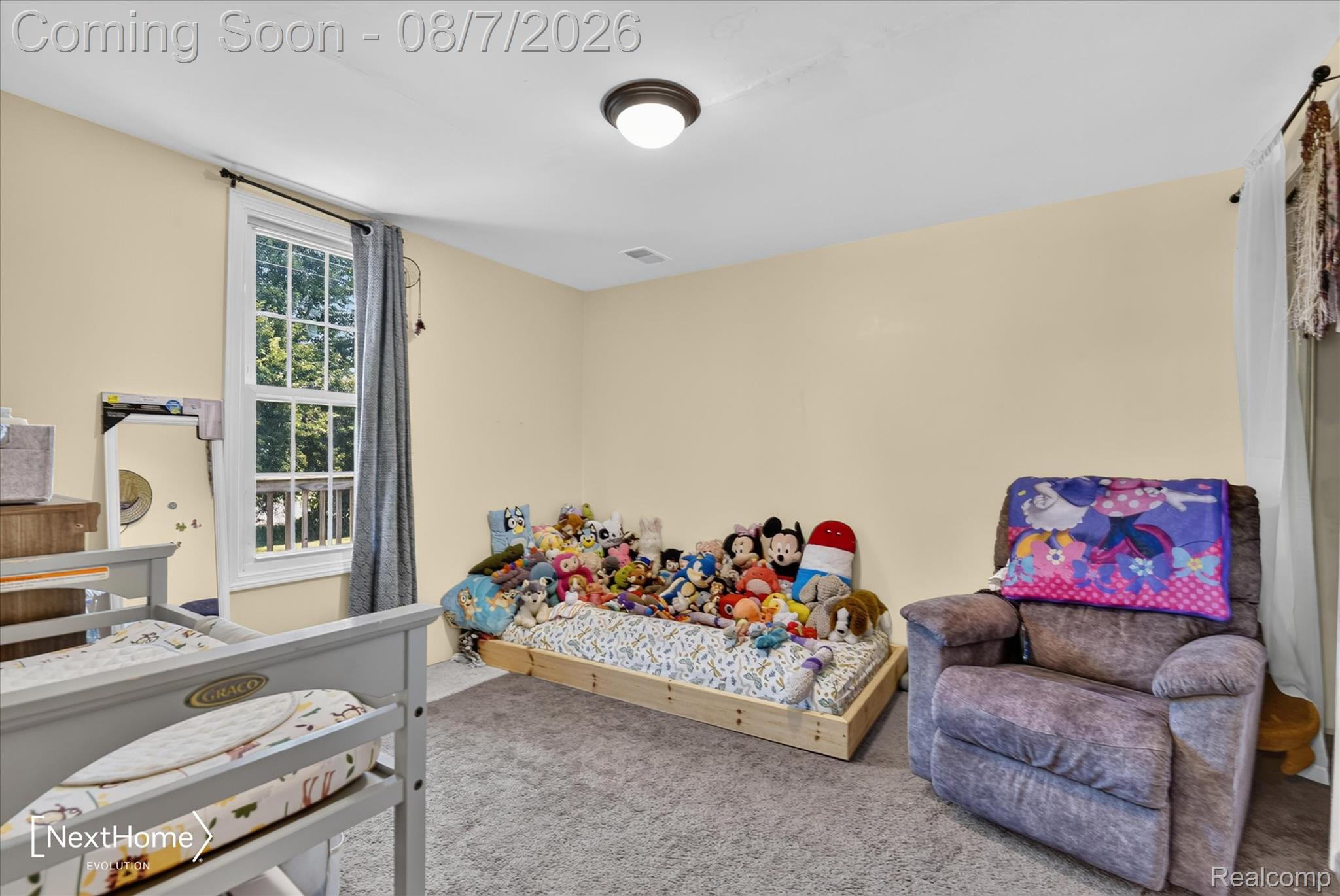 23740 Carleton West Road Belleville, MI 48111 - Photo 19 of 58 Room featuring neutral-toned walls, gray carpeting, a multi-pane window with dark drapery, and a ceiling-mounted light fixture