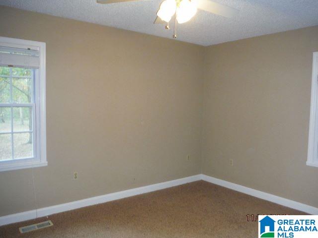 1535 Ray Wyatt Road Ashville, AL 35953 - Photo 20 of 29