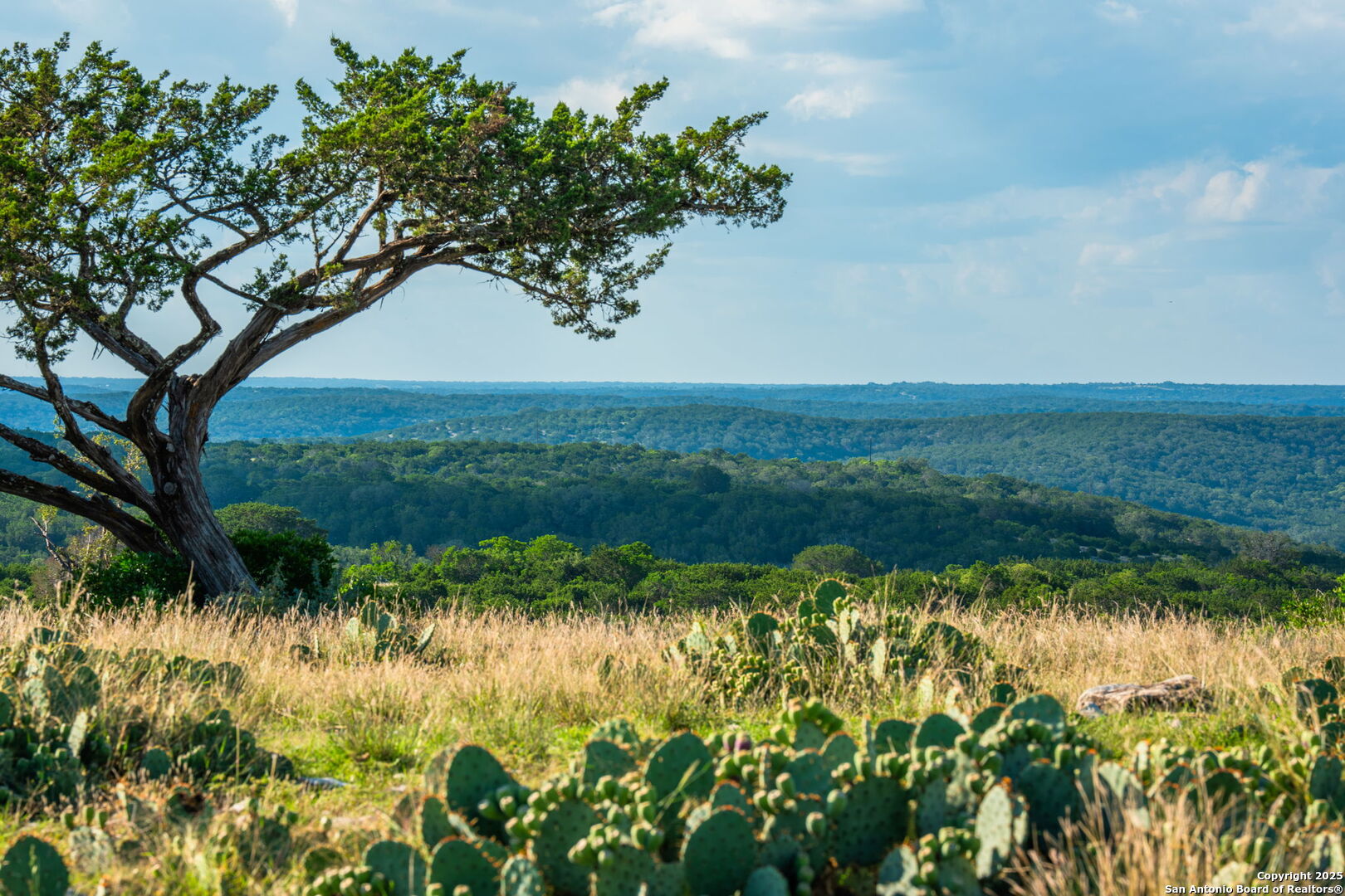 a view of a lake with a big yard