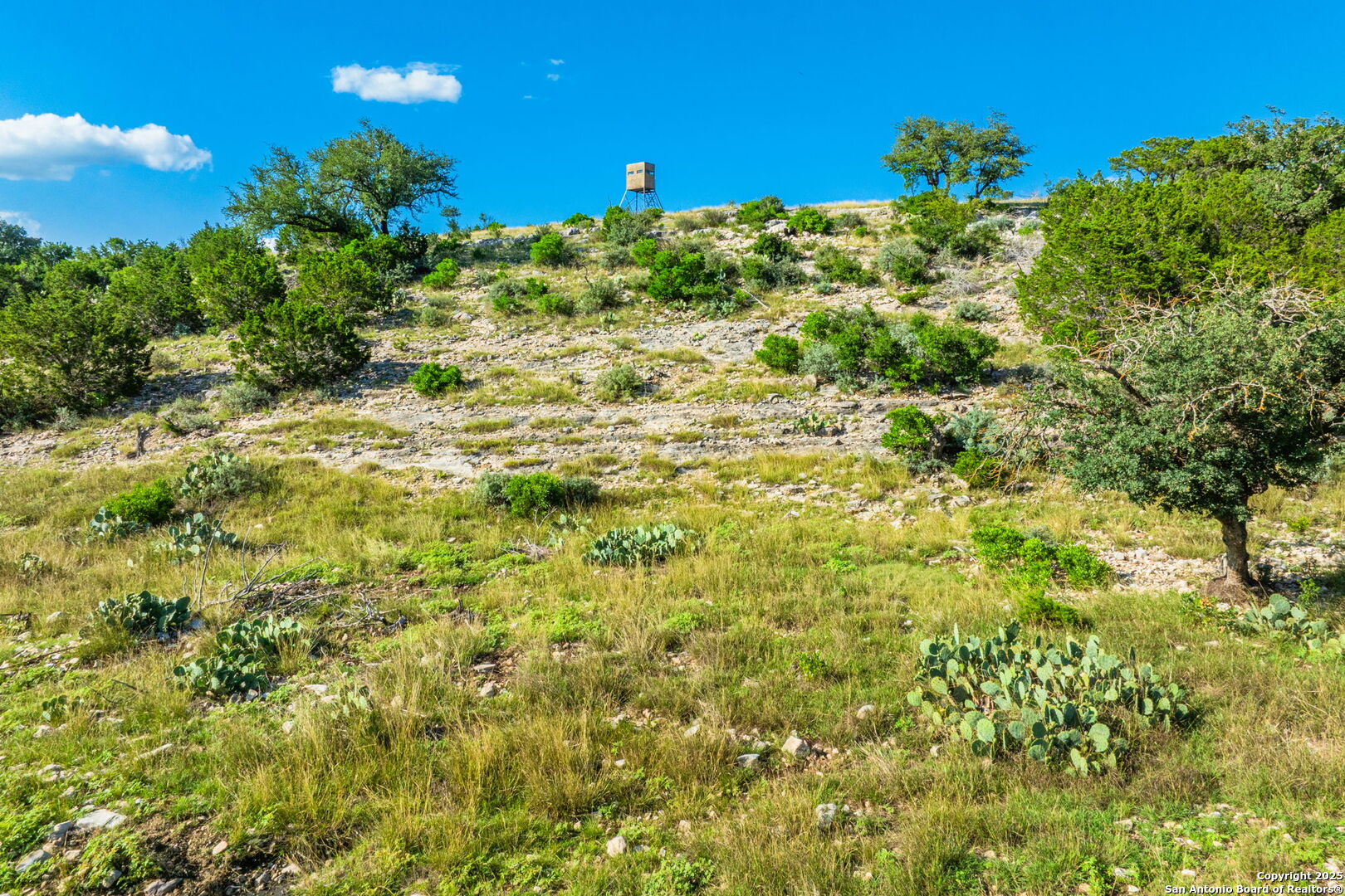 0 Fair Ranch Road Barksdale, TX 78828 - Photo 14 of 45 a view of a big yard with plants and large trees