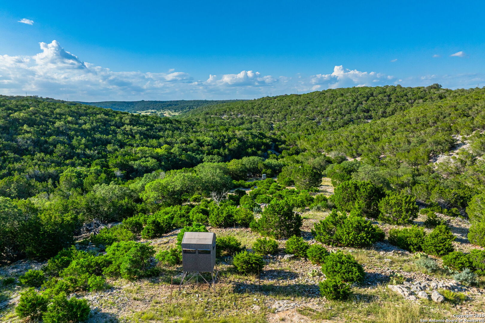 0 Fair Ranch Road Barksdale, TX 78828 - Photo 19 of 45 a view of a garden