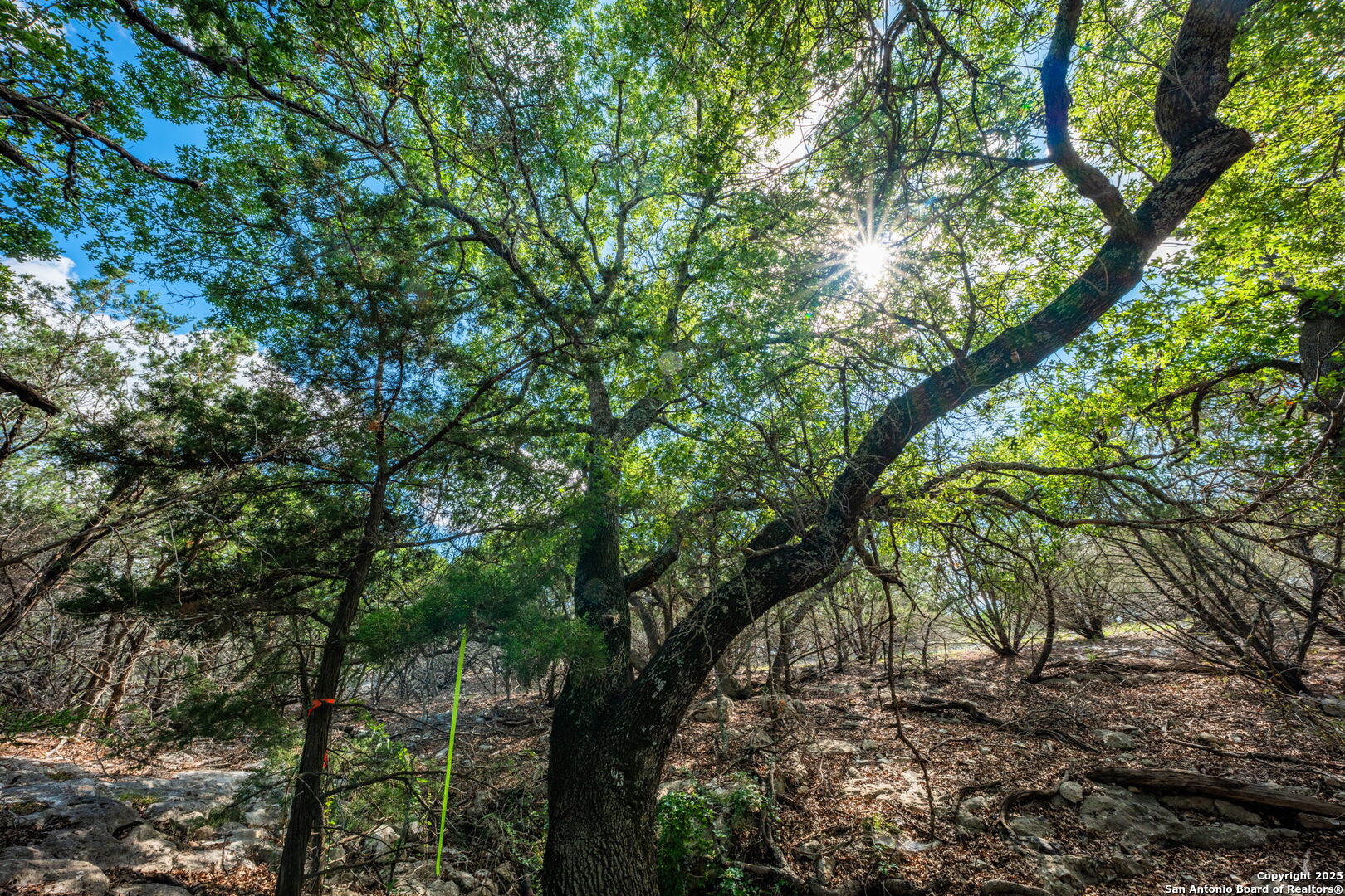 0 Fair Ranch Road Barksdale, TX 78828 - Photo 20 of 45 a backyard of a house with a trees