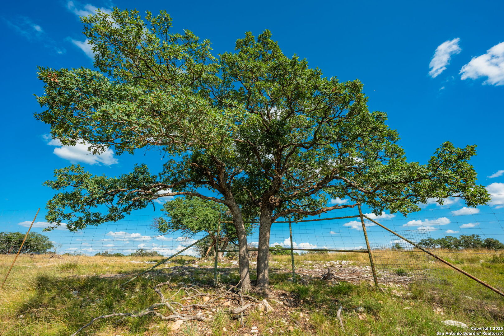 0 Fair Ranch Road Barksdale, TX 78828 - Photo 29 of 45 a view of a backyard of a house