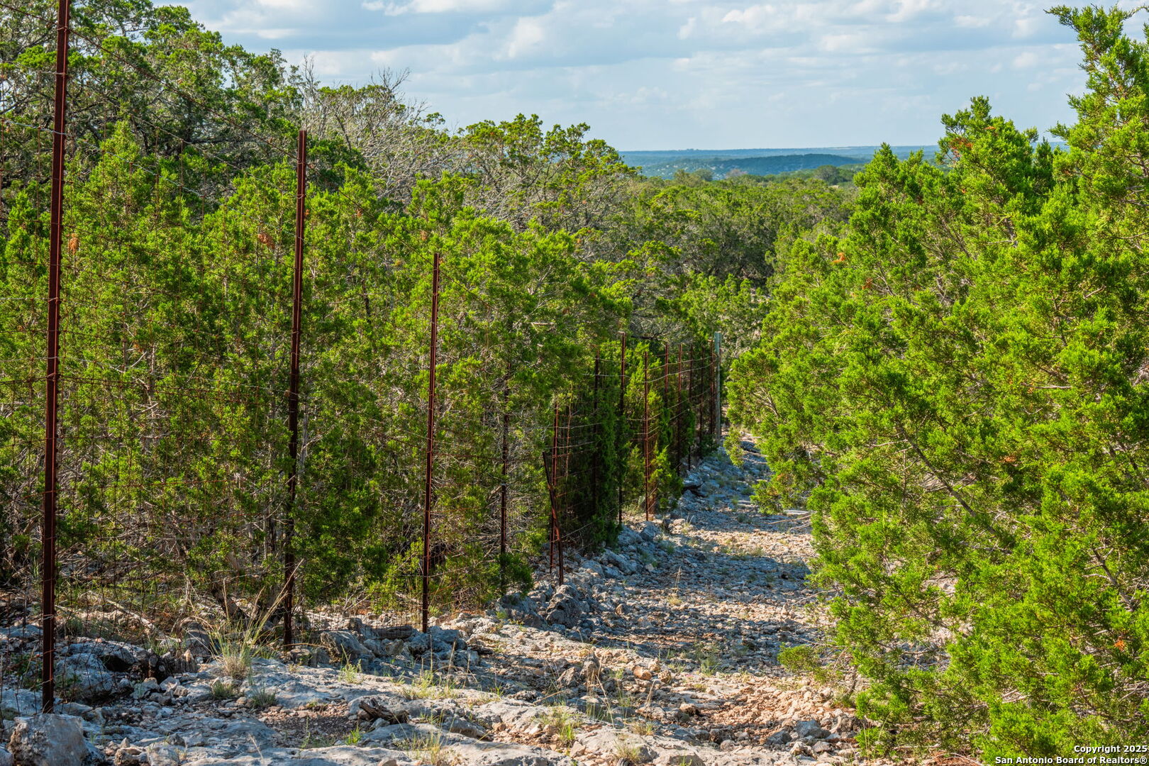0 Fair Ranch Road Barksdale, TX 78828 - Photo 31 of 45 a view of a forest with a tree