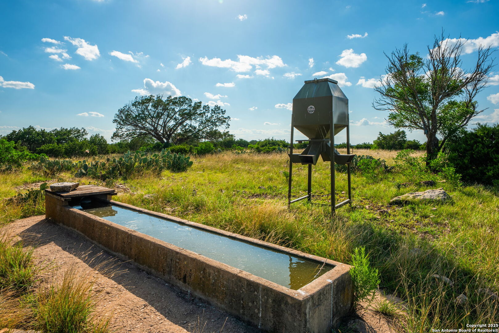 0 Fair Ranch Road Barksdale, TX 78828 - Photo 36 of 45 a view of a swimming pool with a patio and a yard