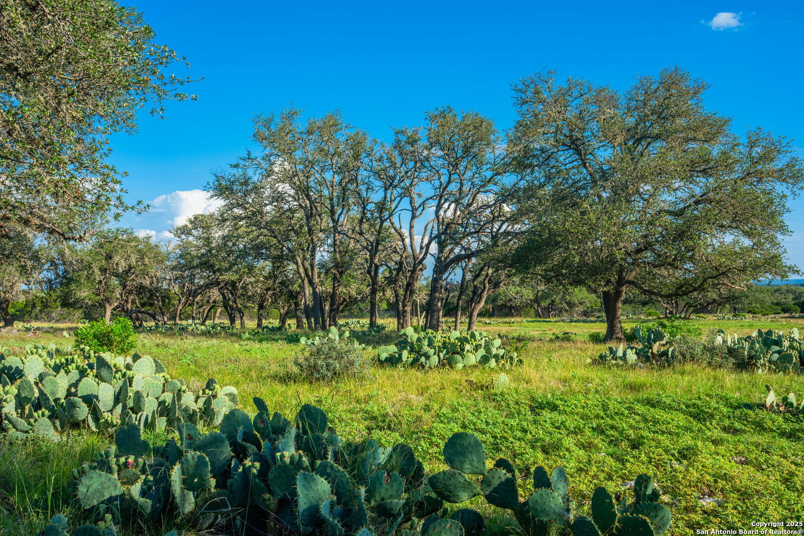0 Fair Ranch Road Barksdale, TX 78828 - Photo 42 of 45 a view of yard with green space