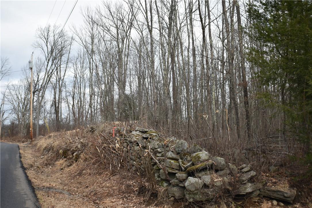 Tbd Birchall Road Ellenville, NY 12435 - Photo 1 of 1 Gallery Image 1
