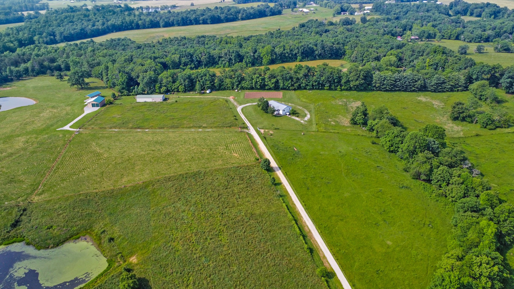 4250 Standing Rock Road Jamestown, TN 38556 - Photo 16 of 70 a view of a golf course with a lake