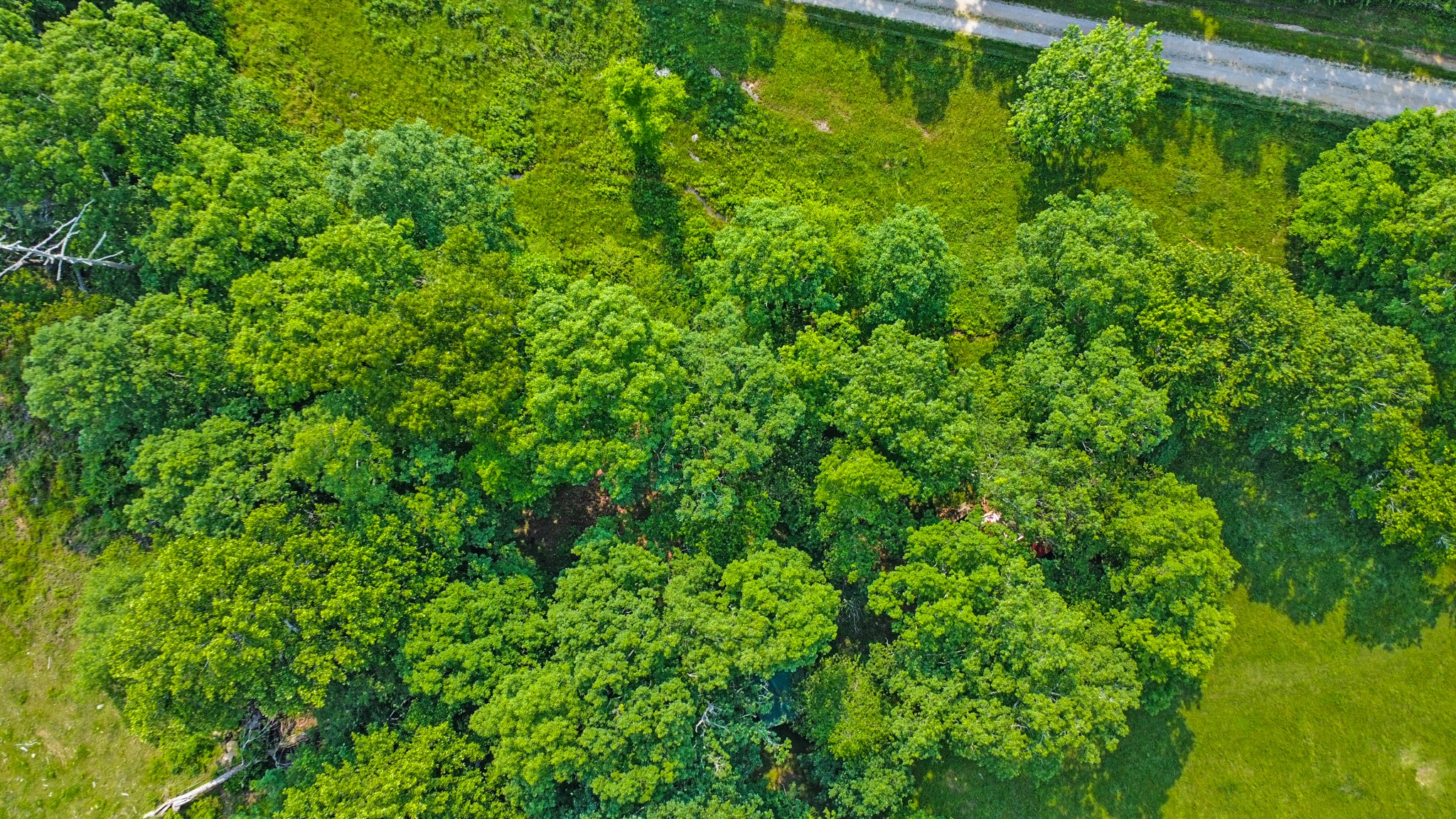 4250 Standing Rock Road Jamestown, TN 38556 - Photo 20 of 70