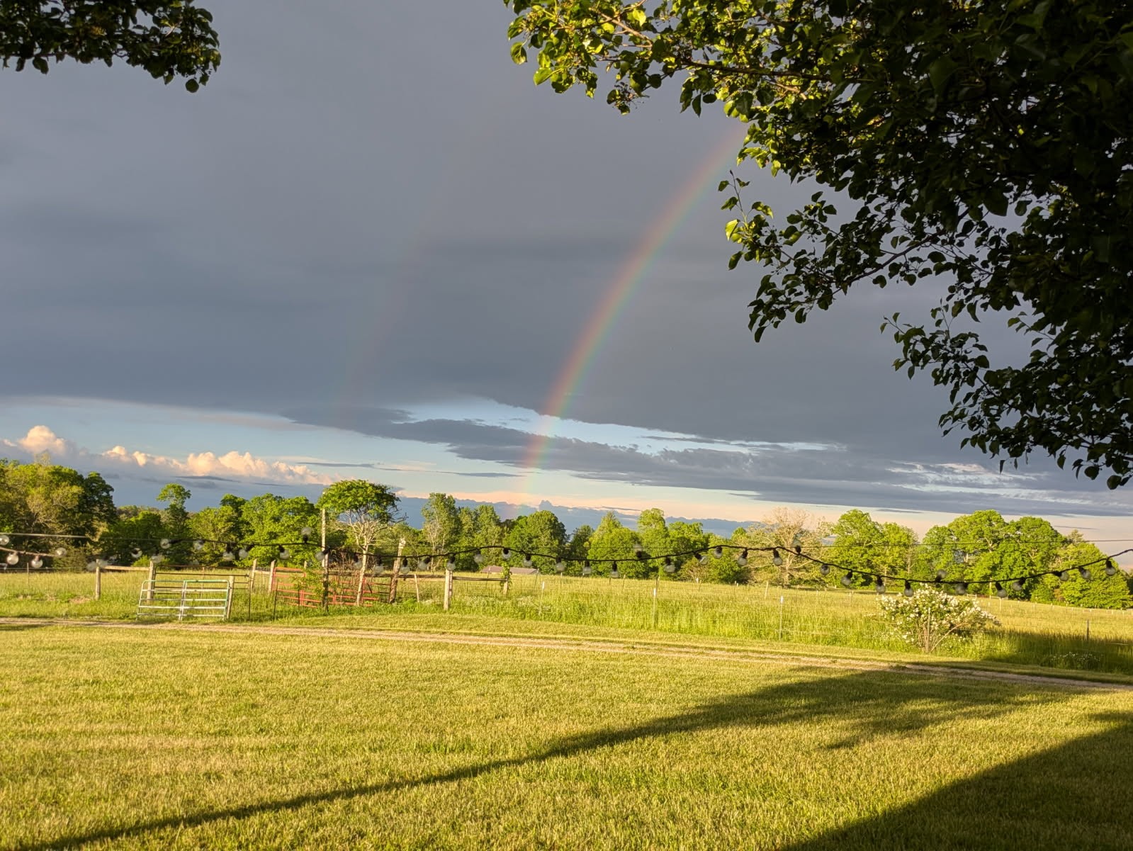 4250 Standing Rock Road Jamestown, TN 38556 - Photo 2 of 70 a view of an ocean