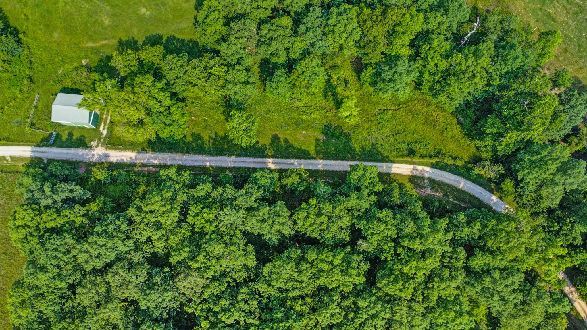 4250 Standing Rock Road Jamestown, TN 38556 - Photo 3 of 70 a backyard of a house with lots of green space and garden in the back