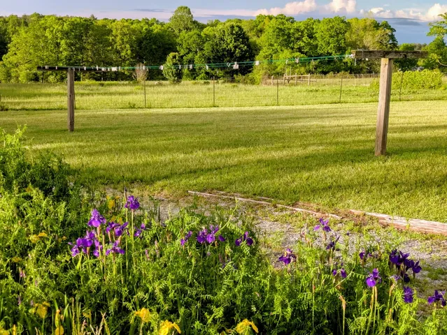 a street sign that is in front of flowers