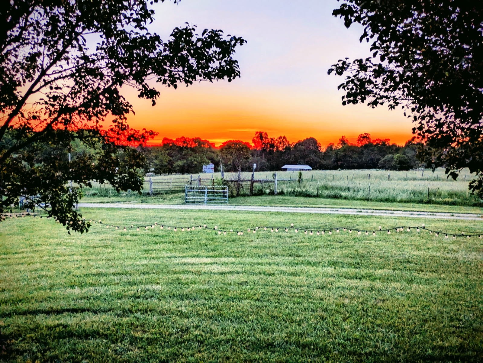 4250 Standing Rock Road Jamestown, TN 38556 - Photo 51 of 70 a view of a field with of a tree