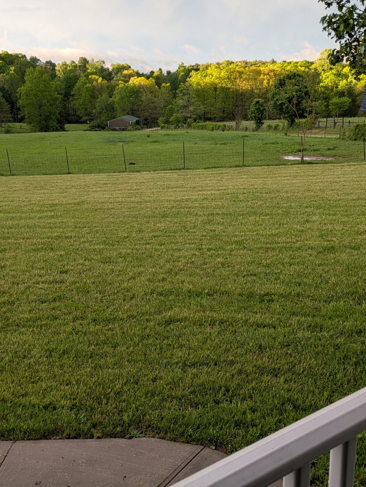 4250 Standing Rock Road Jamestown, TN 38556 - Photo 58 of 70 a view of a field with a yard