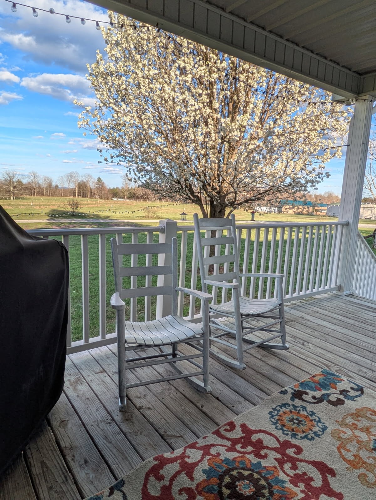 4250 Standing Rock Road Jamestown, TN 38556 - Photo 62 of 70