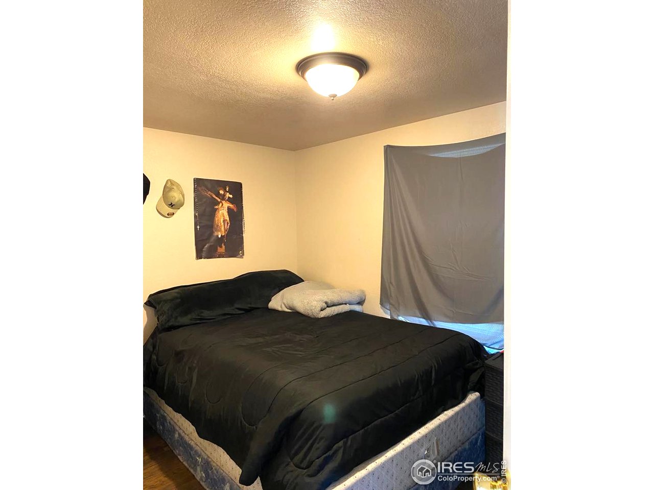 401 North Timberline Road, Unit 293 Fort Collins, CO 80524 - Photo 16 of 16 3rd bedroom