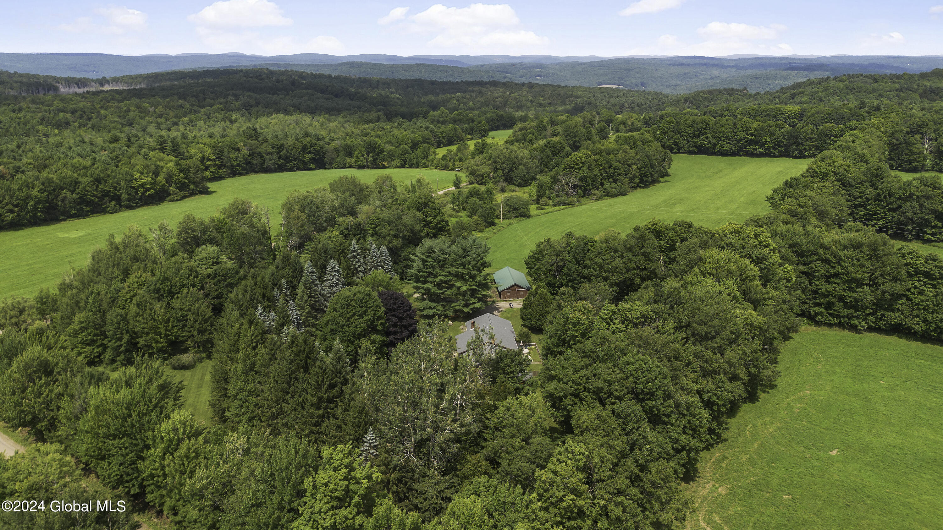 1694 96 Road Kortright, NY 13757 - Photo 67 of 93 Drone 1694 96 RD East -5