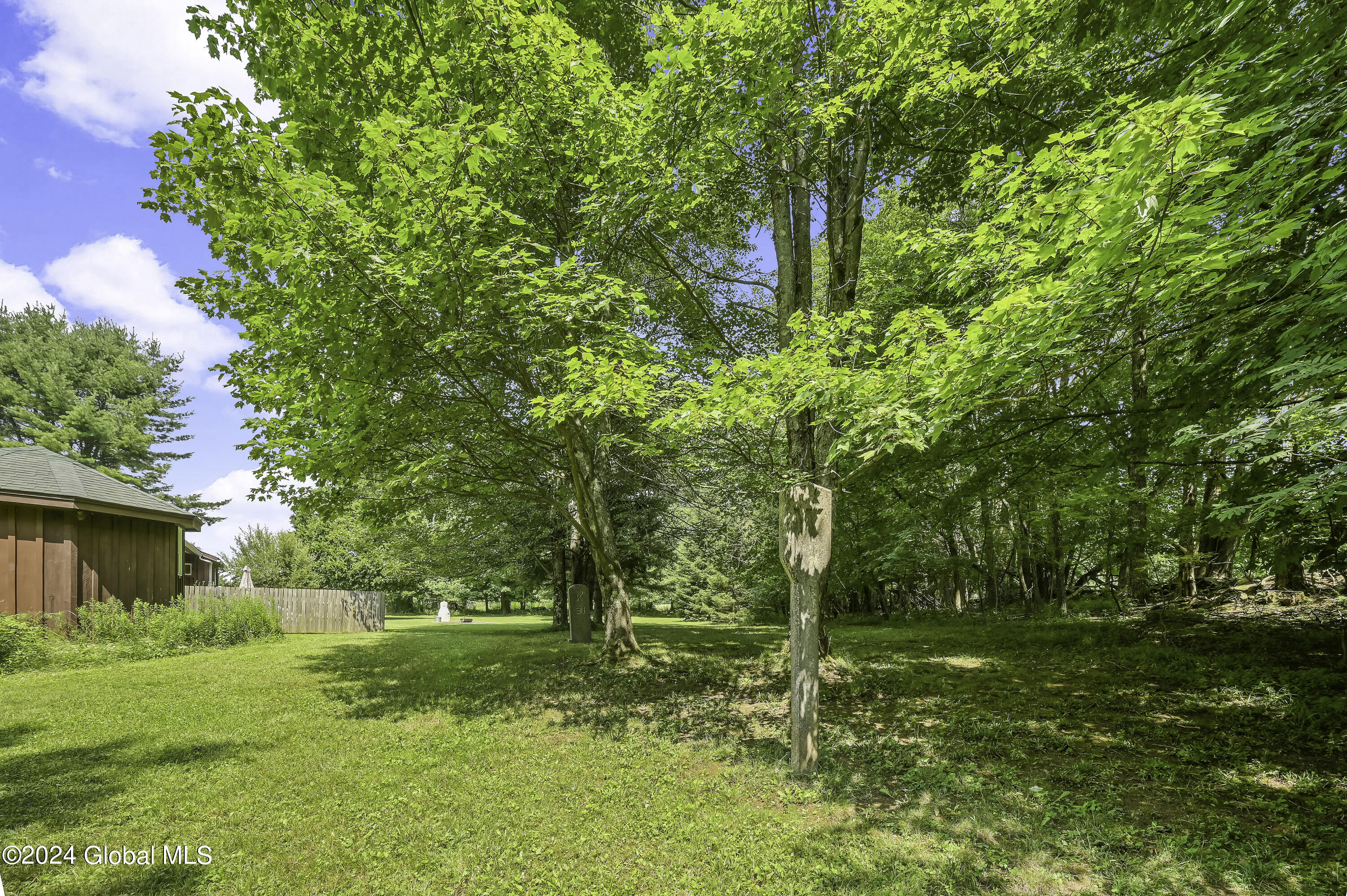 1694 96 Road Kortright, NY 13757 - Photo 71 of 93 Camera 1694 96 RD East -11