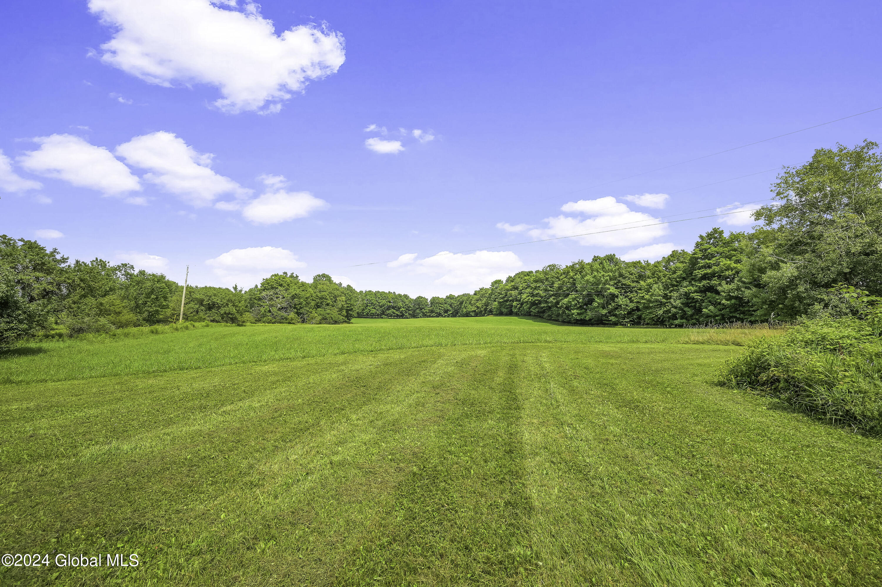 1694 96 Road Kortright, NY 13757 - Photo 74 of 93 Camera 1694 96 RD East -23