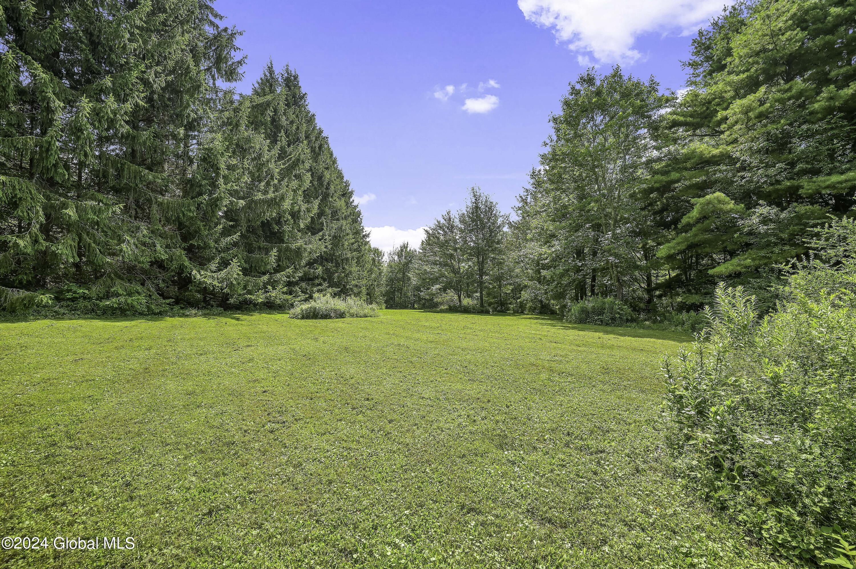 1694 96 Road Kortright, NY 13757 - Photo 75 of 93 Camera 1694 96 RD East -4